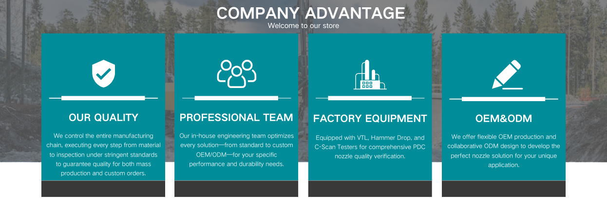 Customized PDC Tools