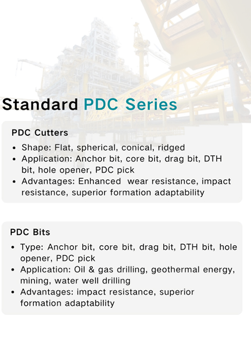 Customized PDC Tools