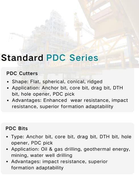 Customized PDC Tools Customized PDC Tools